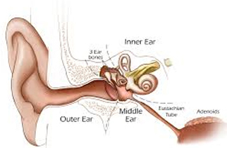 Ear Treatments